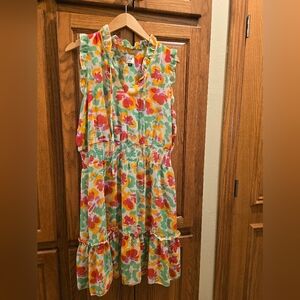 CAbi Multicolor Floral Dress